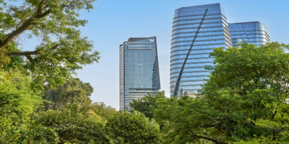 W São Paulo
