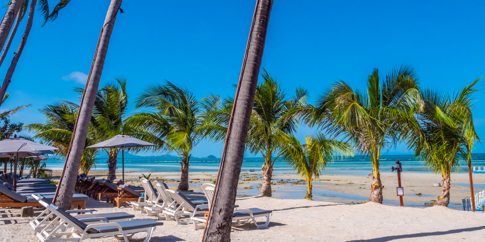 Hard Rock Hotel & Casino Punta Cana