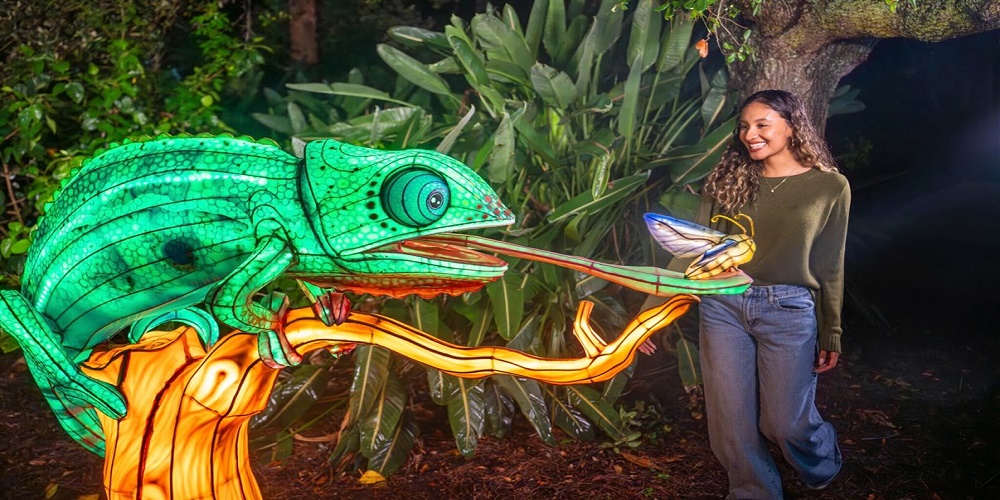 Aquatica Orlando estreia Illuminate, festival noturno de lanternas; veja detalhes - Fonte: Divulgação