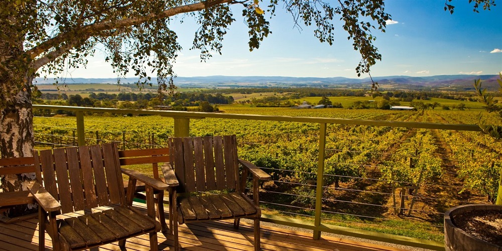 Vinícolas da América do Sul marcam presença na lista 51-100 do 50 Best / Fonte: Divulgação